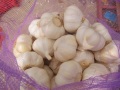 Reiner weißer Knoblauch aus Jinxiang