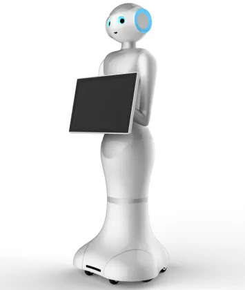 Intelligent humanoid welcome robot reception service robot