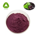 Food Pigment Mulberry Fruit Extrait Anthocyanine 25%