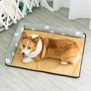 O1CN01qSA1SX1vIkV3lZ6uZ_!!0-item_pic.jpg_300x300q90