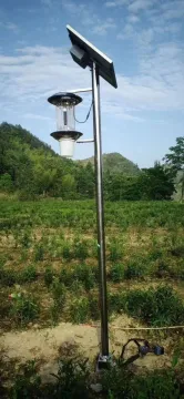 mosquito solar light fuction