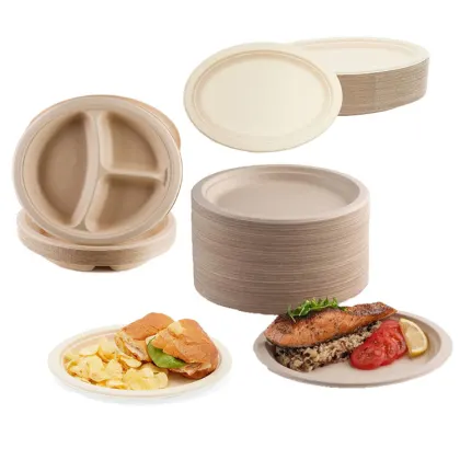 Customized Green Disposable Tableware Lunch Food
