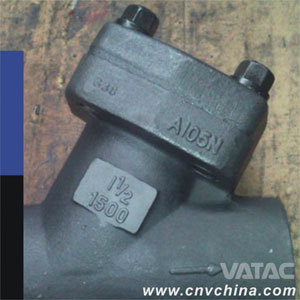 Vatac Carbon Steel Cast & Forged Y Strainer