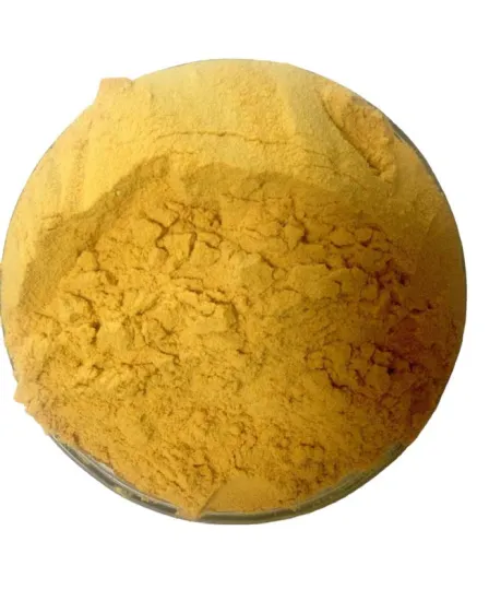 Berberine HCl Berberine Hydrochloride CAS 633-65-8