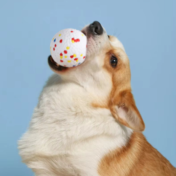 Elastic Balls for Dogs - MOFESIPI Teeth Grinding and Bite Resistant Pet Toys