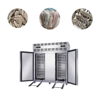 High-Capacity HIRON Blast Chest Freezer at a Great Price