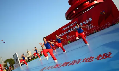 Soft PVC Dancing Floor Mats