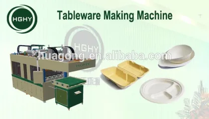 HGHY full automatic pulp thermoforming disposable paper tableware machine