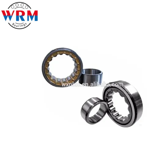 Electric Generator Used Cylindrical Roller Bearing Nu1005
