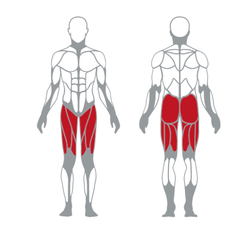 Plate Loaded Machines Squat Machine (with belt)