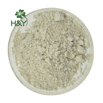 High quality fucoidan extract powder