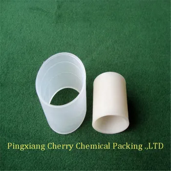 Plastic Raschig Ring In China