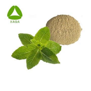 Food Additive Peppermint Extract Powder