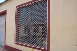 U.S. grid mesh