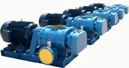 5 hp Aquaculture Roots Blower