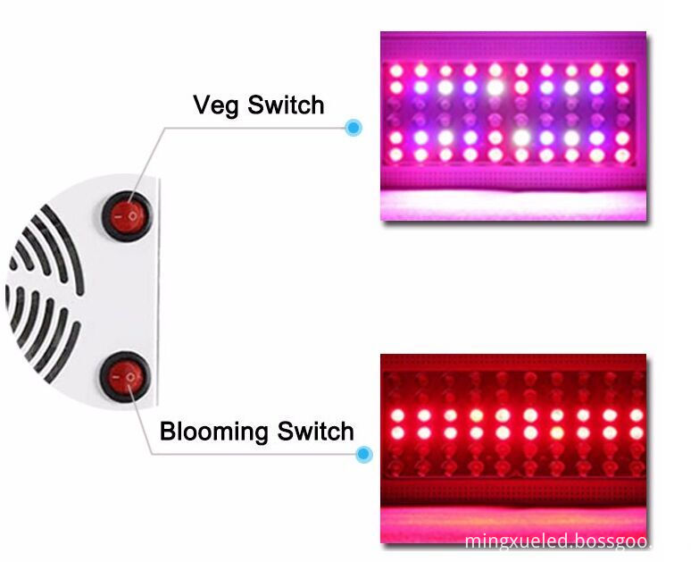 Two Switches Control