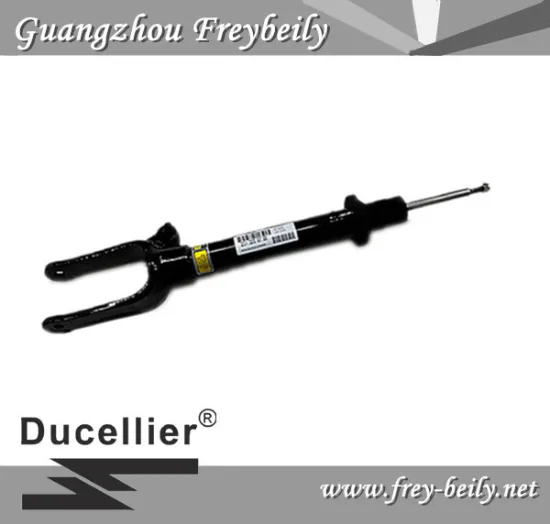 2513200730 Front Hydraulic Shock Absorber for Mercedes Benz W251
