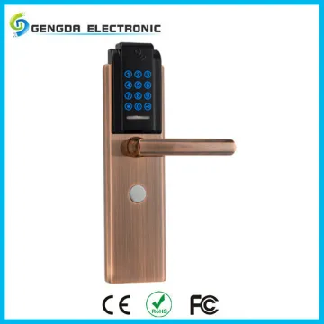 Password+Card Keyless Password Door Lock