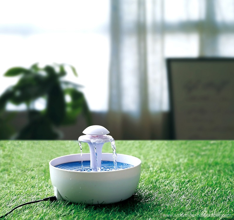 Factory hot sales cheap automatic pet water fountain