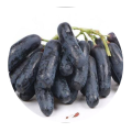 Uva rica em selênio Ziyu Tianzhu
