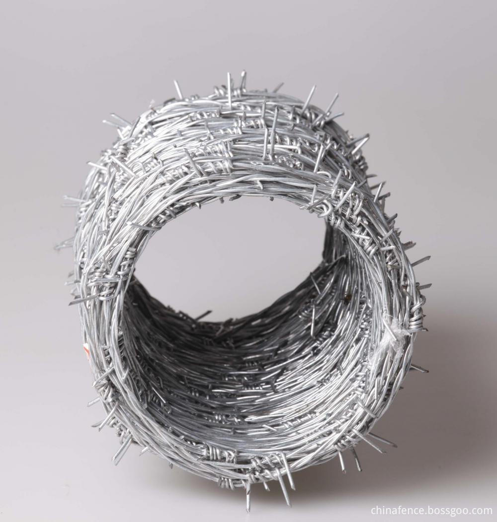 Barbed Iron Wire2