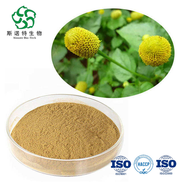 インスタントAcmella oleracea Extract Powder Spilanthol