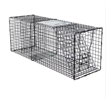 Galvanized or PVC Coated Trap Cage for Armadillos and Similar-Sized Animals