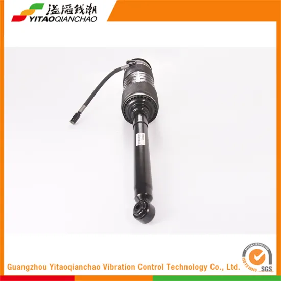 Top Selling Products 2016 Auto Parts Oem Rear Air Absorber