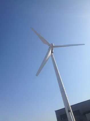 veritical axis Low RPM wind power generator type alternative energy generator /green energy generator