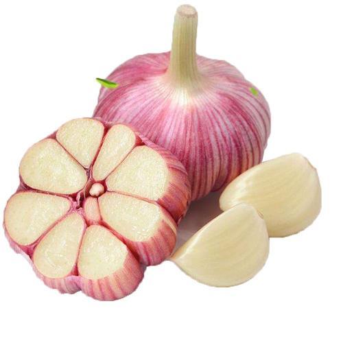 পাইকারি তাজা বেগুনি রসুন বাল্ক সেরা দাম