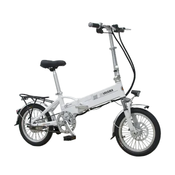 240W 48V Lithium Alloy Electric Folding Bike with Pedal Assist