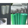 Galvanized Welded Wire Mesh Roll Garden Fence