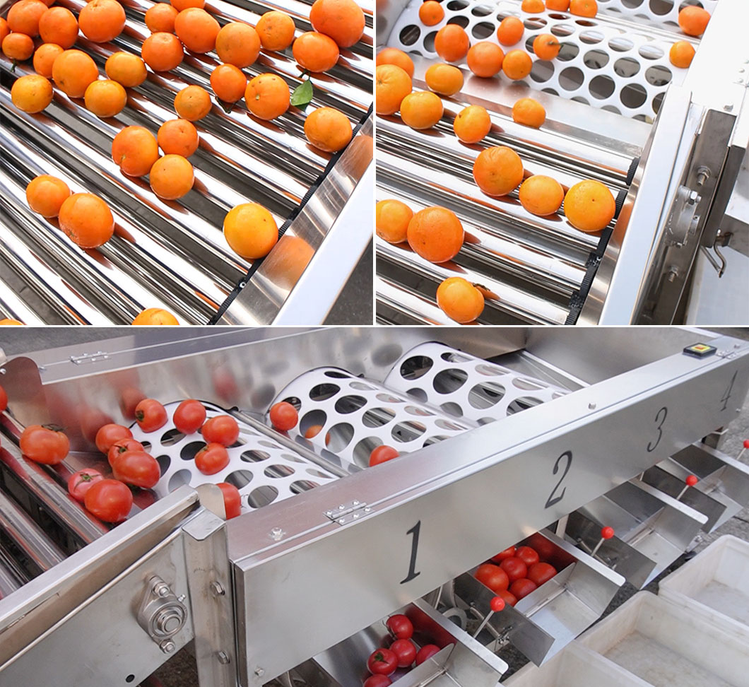 commercial fruit grading equipment