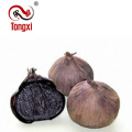 Anti-aging Black Garlic With Antioxidant Power