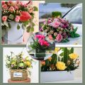 /msite/products/detail/productid/68346277/id/680815.html