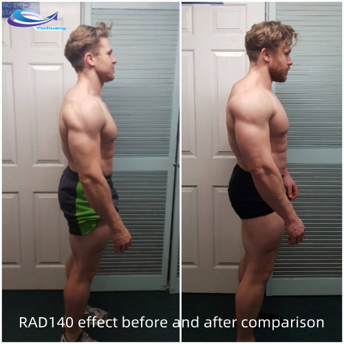 rad140 strength gains reddit