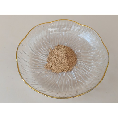 Extracto de Ginkgo Biloba