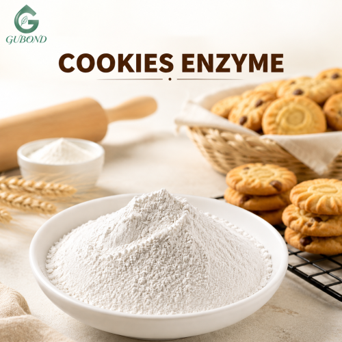 Mezcla de enzimas Cookies para aplicaciones de procesamiento de galletas y panadería