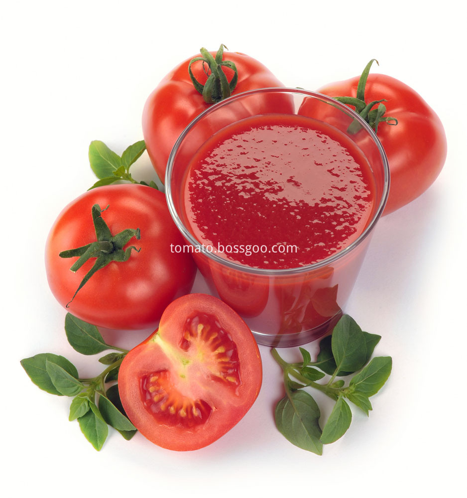 stanup sachet material tomato 