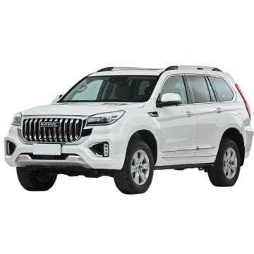 2023 Haval H9 1000km 5-door 5-seat Petrol SUV