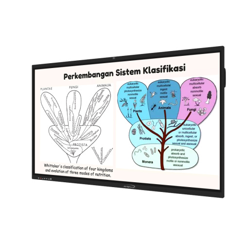 75 Inches Smart Board Projector