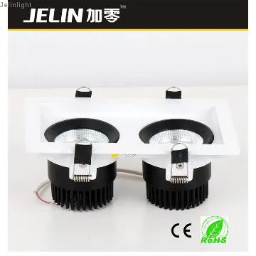 double-head LED COB beans downlight 2*10W