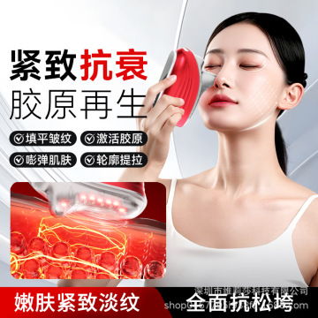 New EMS Photon Facial Massager