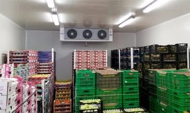 Vegetable and Fruit Cold Storage Solutions for the Meat Industry
