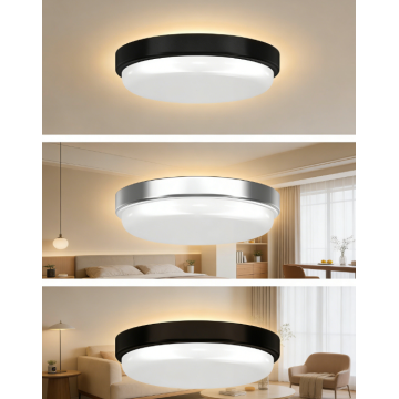 LED Indoor Ceiling Light
