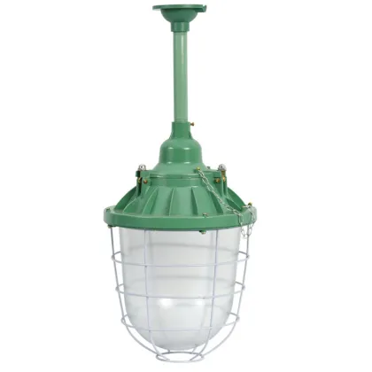 Explosion-Proof LED Lamps for Industrial Hazardous Area Lighting