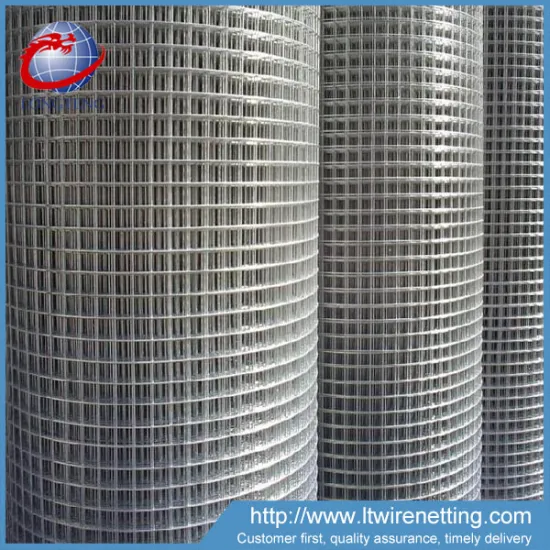 Factory price electrical galvanzied lowes chicken welded wire mesh roll