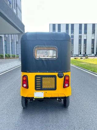 Modern Electric Passenger Tricycle Design tricycle