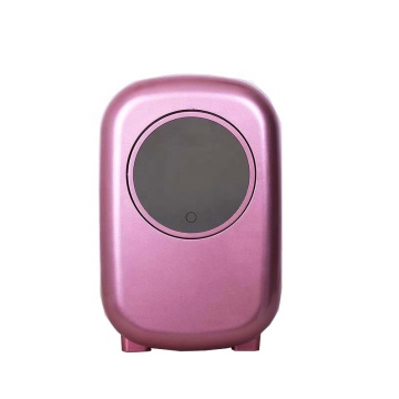 Draagbare 13L mini cosmetische koelkast voor make -upopslag en display