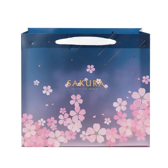 Shopping Paper Bag With Ribbon Handle